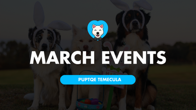 Puptqe's March 2024 Events