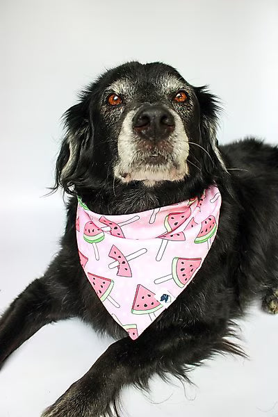 Watermelon & Strawberry Reversible Bandana
