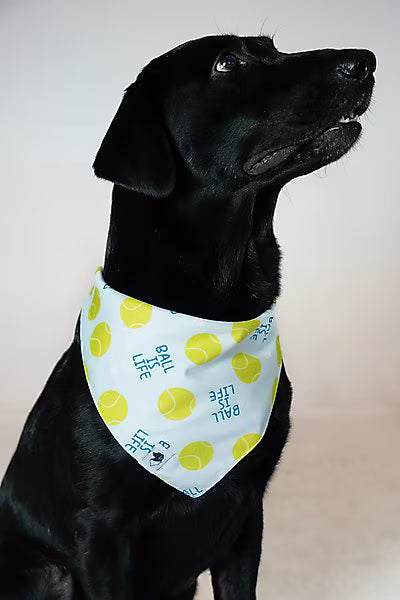 Ball is Life Reversible Bandana