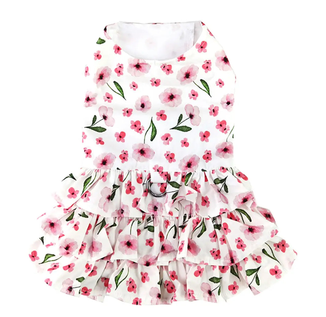 Spring Wildflower Dress with Matching Leash