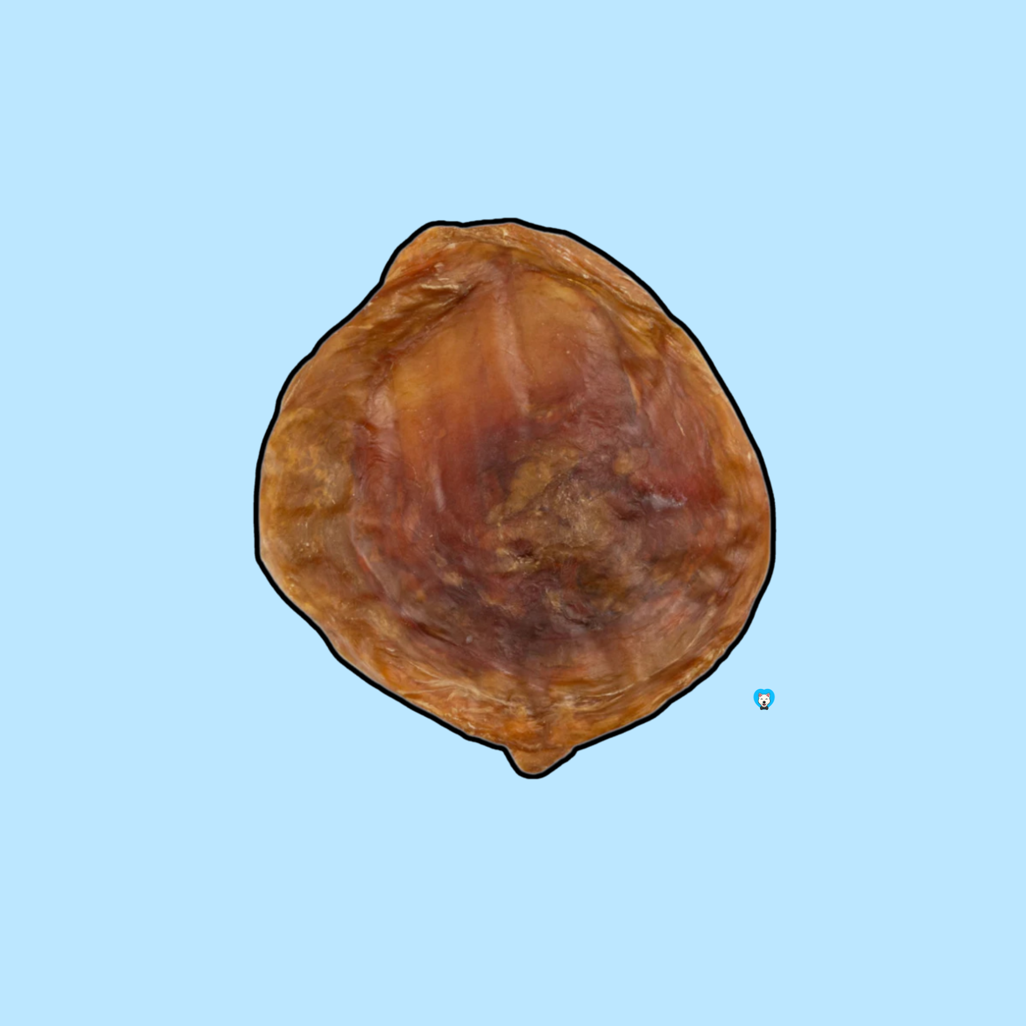 3”–4” Beef Bladder Disc Dog Treats
