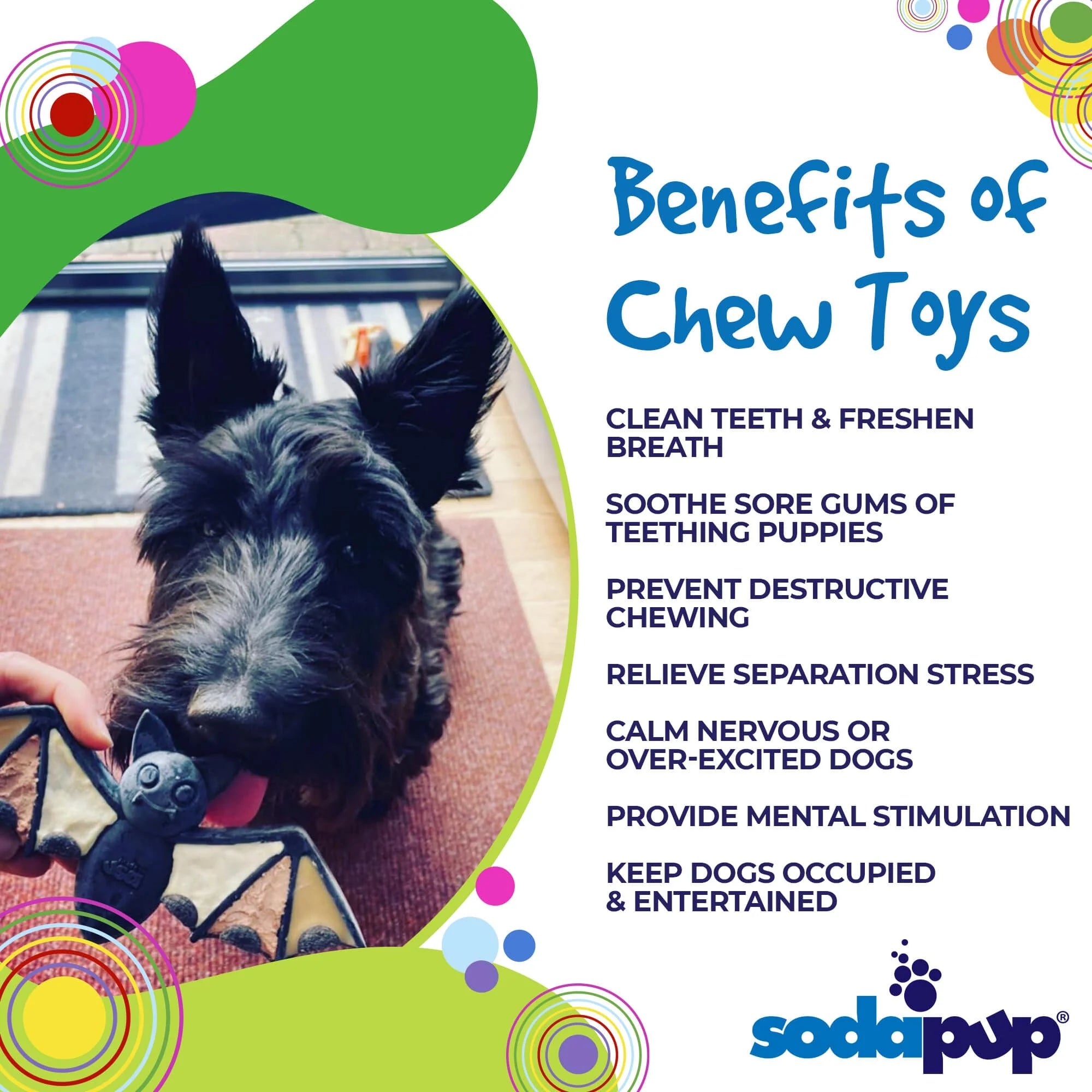 Vampire Bat Ultra Durable Nylon Dog Chew Toy for Aggressive Chewers
