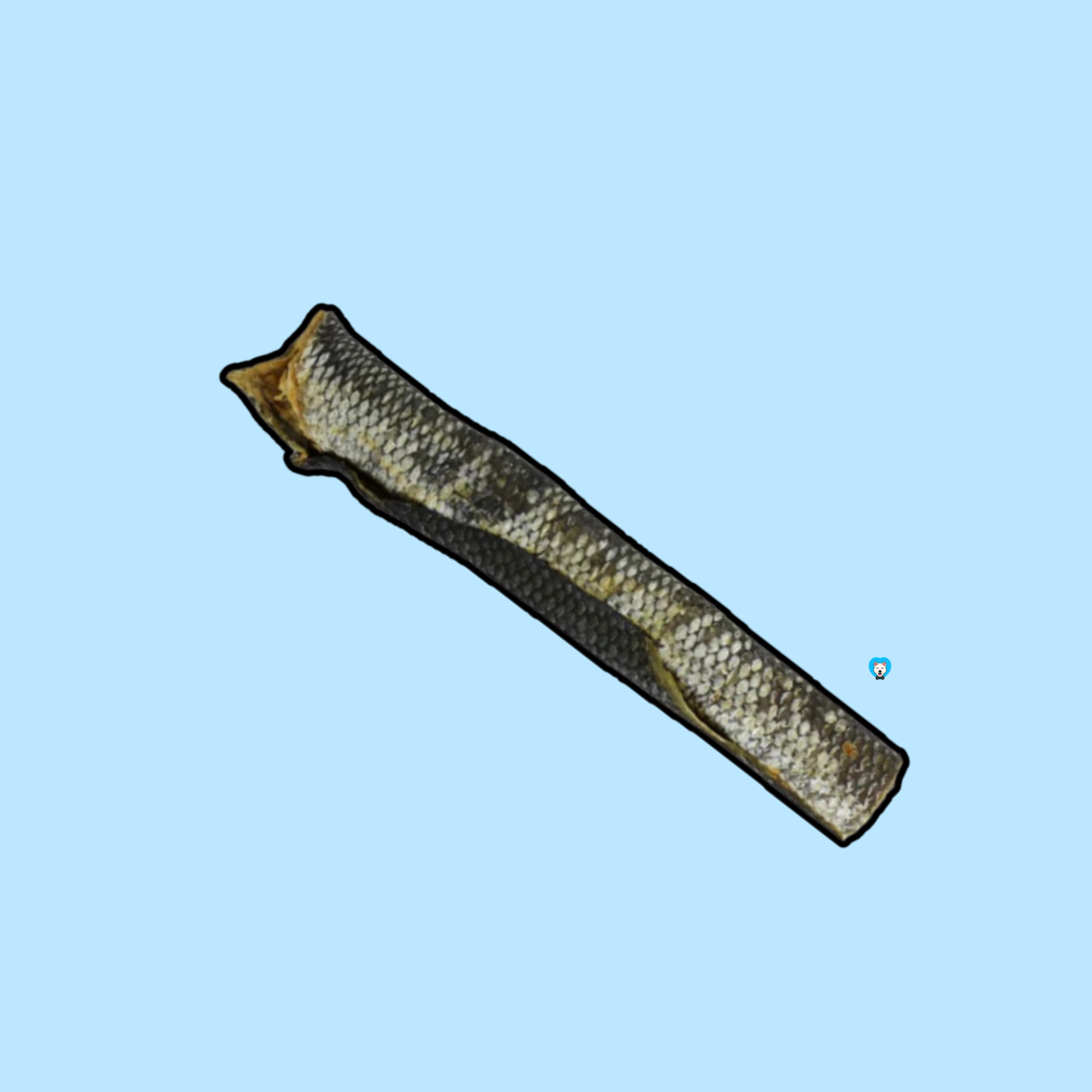 Salmon Skins