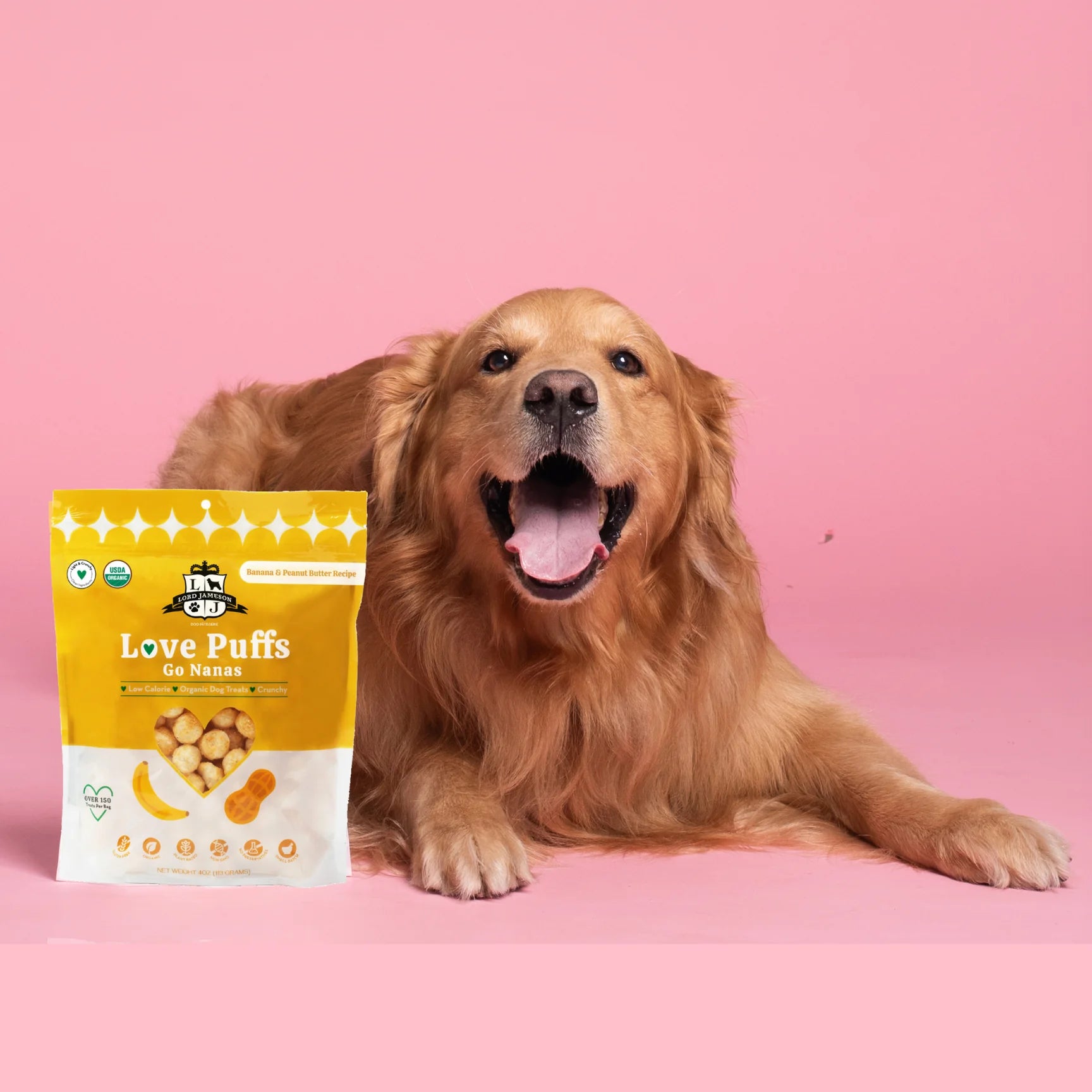 Go Nanas Organic Dog Treats