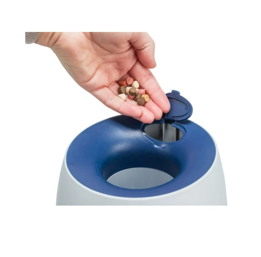 Strategy Game - Ball & Treat