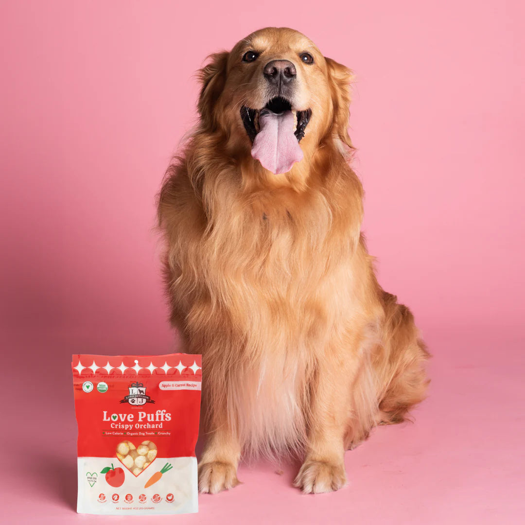 Crispy Orchard Organic Dog Treats