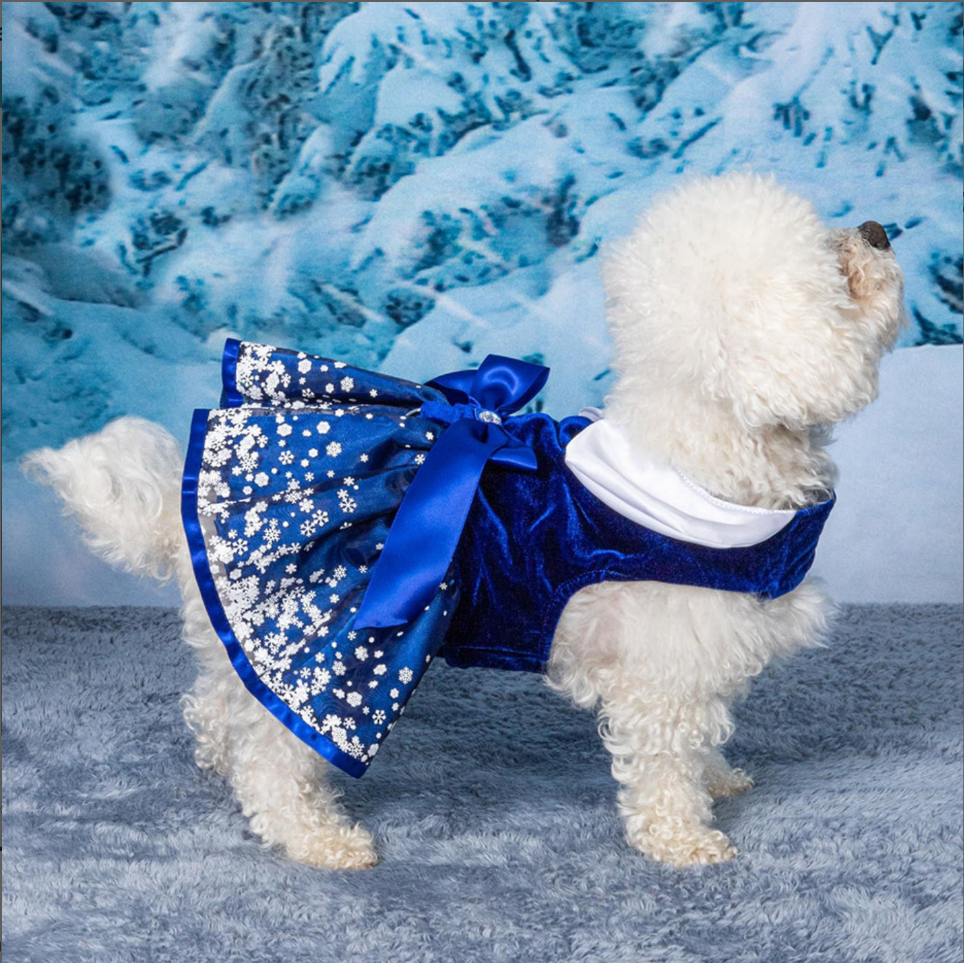 Holiday Harness Dress - Snowflakes