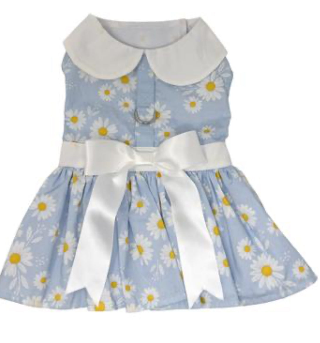 Blue Daisy Dog Dress and Leash