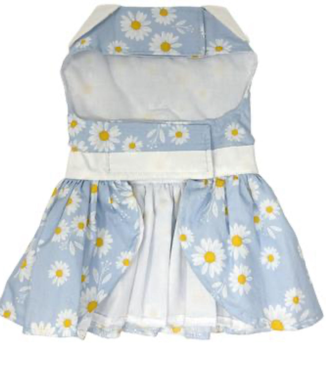 Blue Daisy Dog Dress and Leash