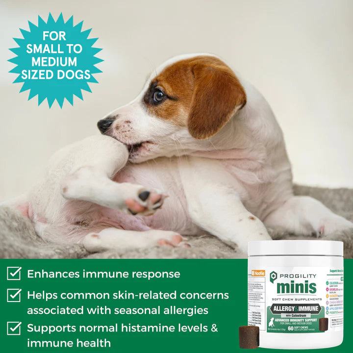 Minis Allergy & Immune Soft Chew Supplements