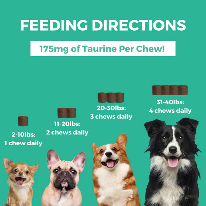 Minis Multivitamin Soft Chew Supplements