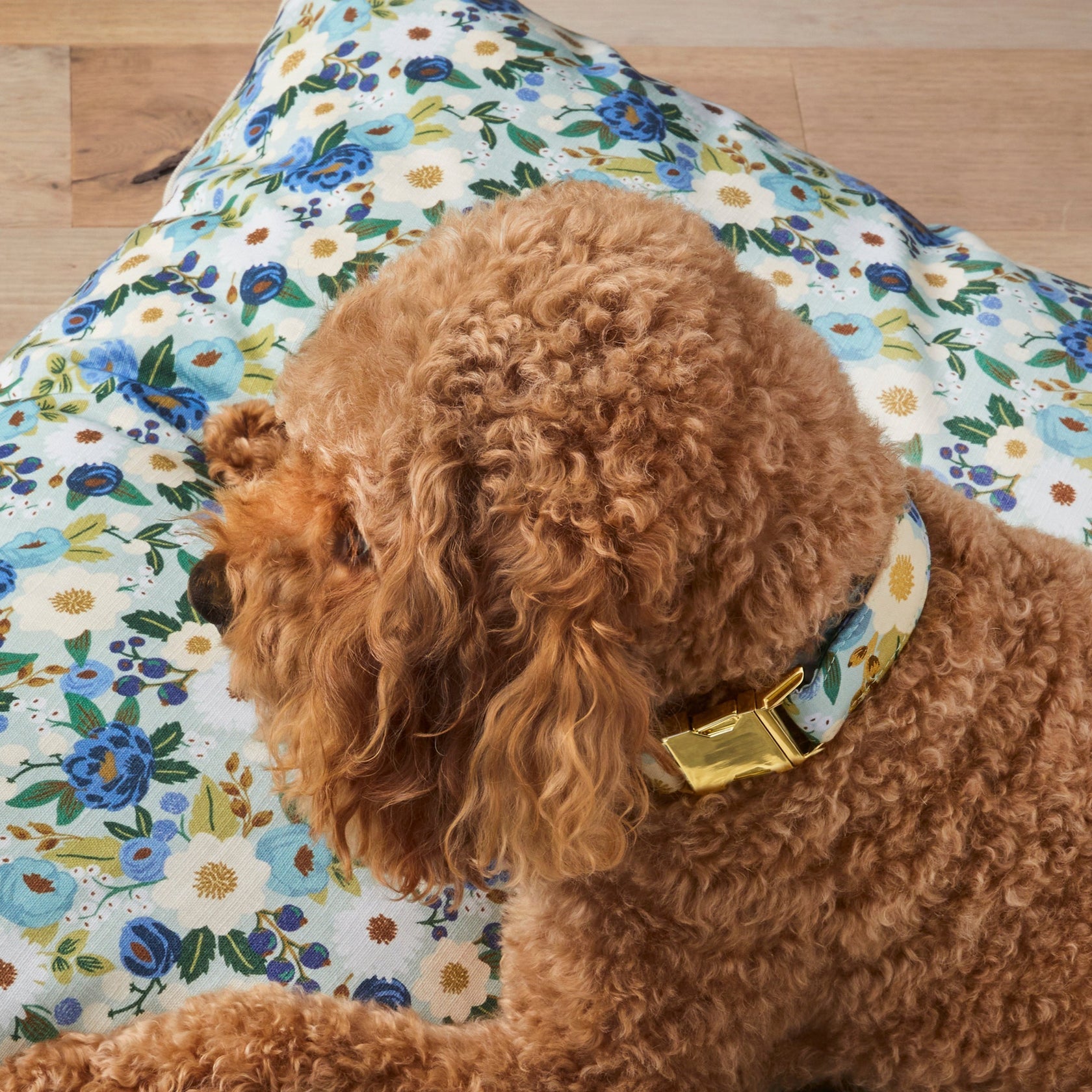 Rifle Paper Co. x TFD Vintage Blossom Dog Collar