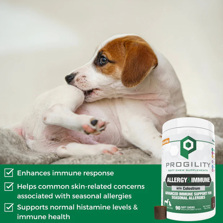 Allergy Relief Large Chew Supplement
