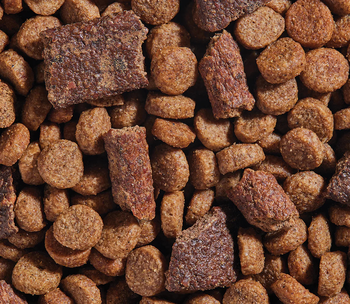 Epic Blend Chicken & Superfood Dry Dog Food