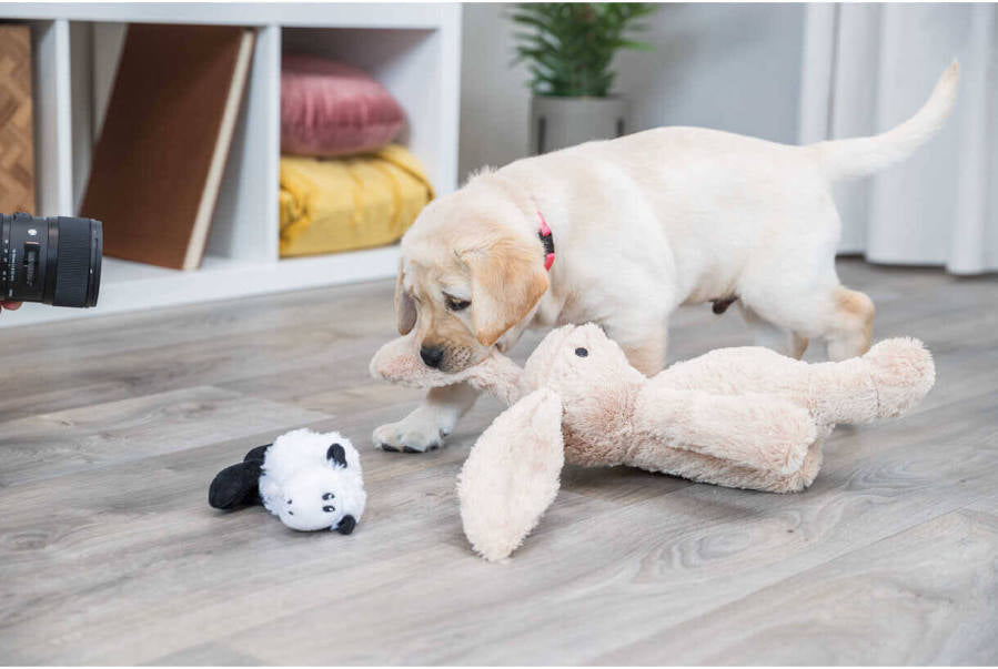 Rabbit Plush Toy