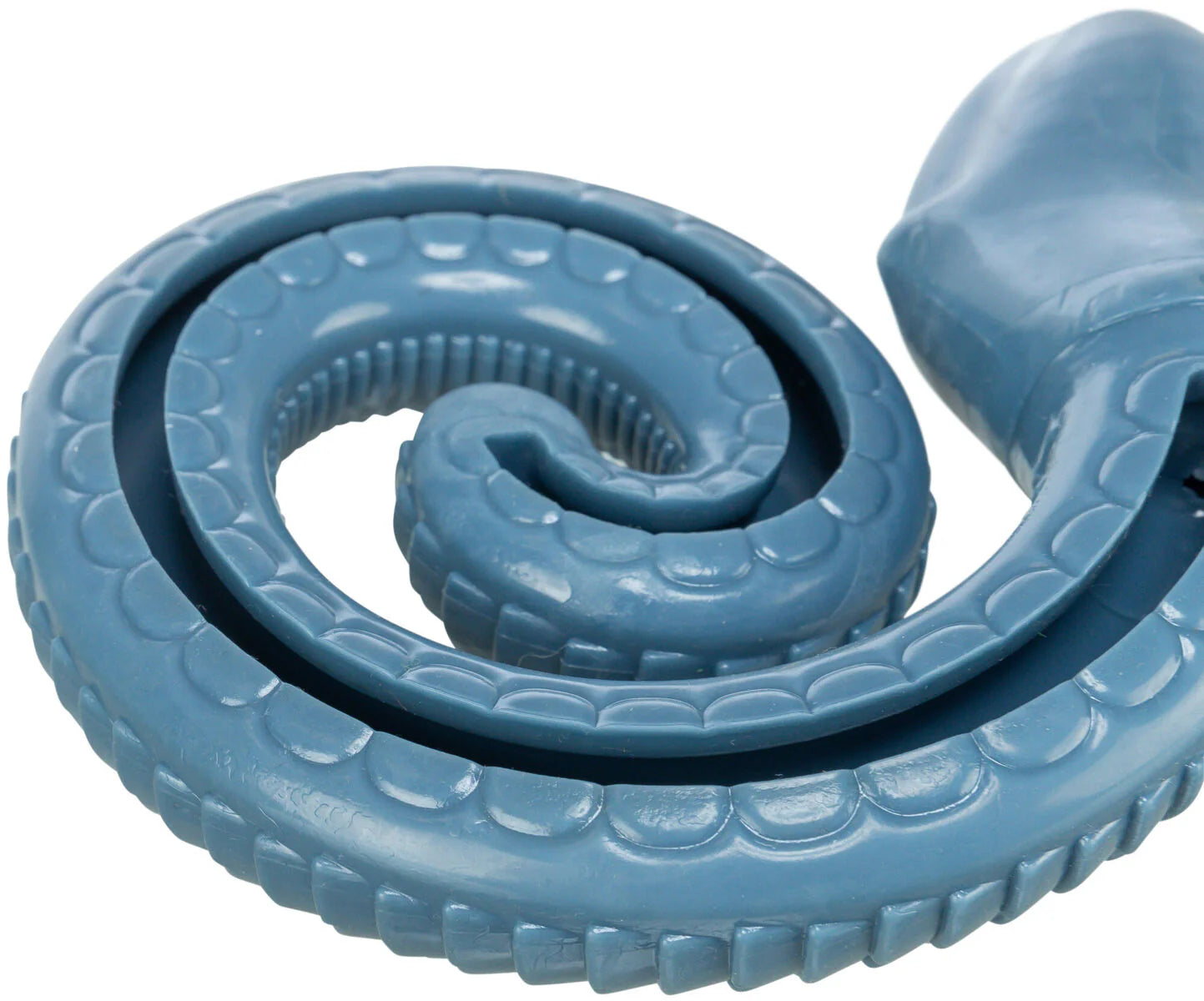 Coiled Snake Treat Puzzle