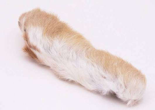 Rabbit Foot