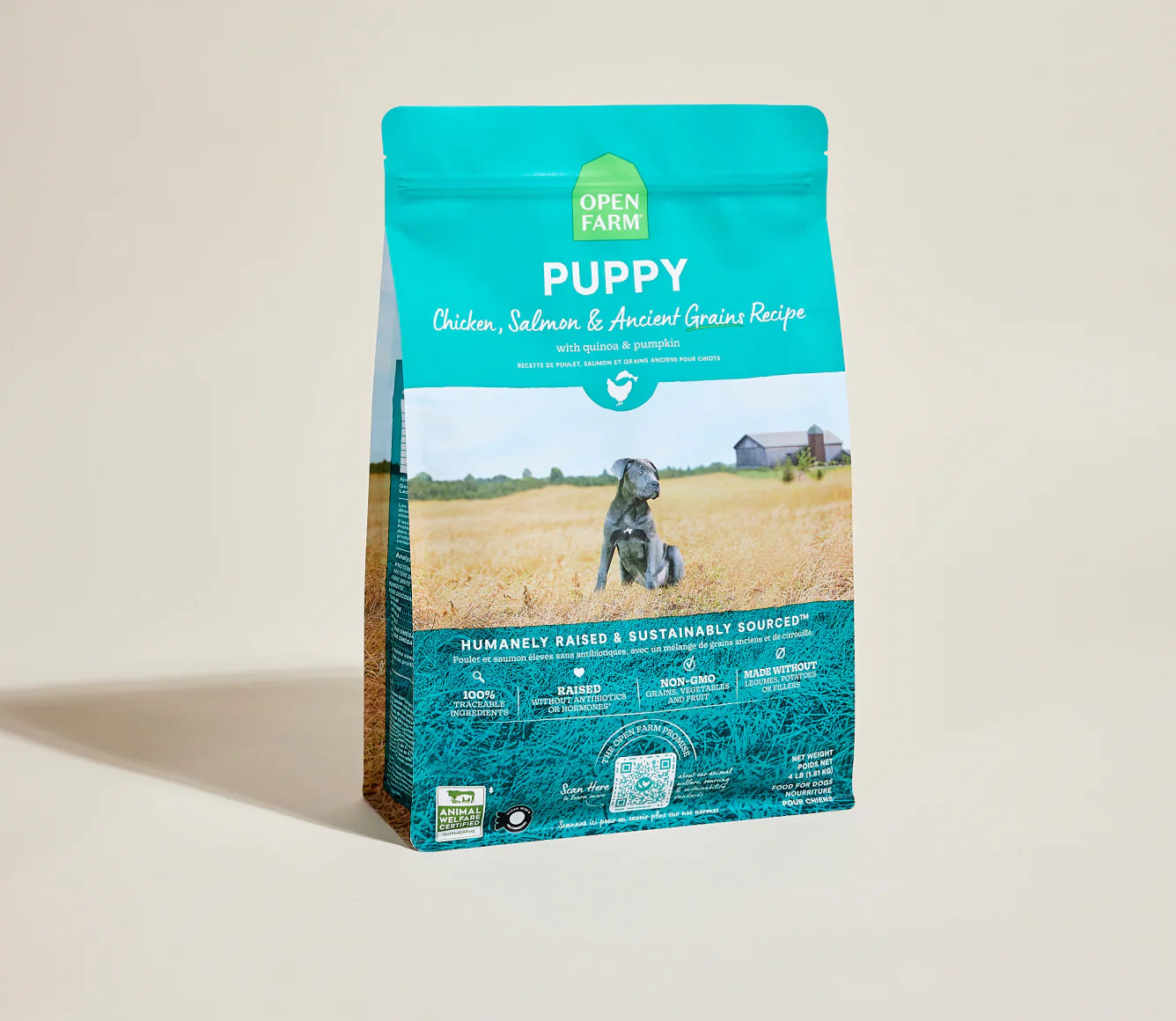 Chicken & Salmon Ancient Grains Puppy Kibble
