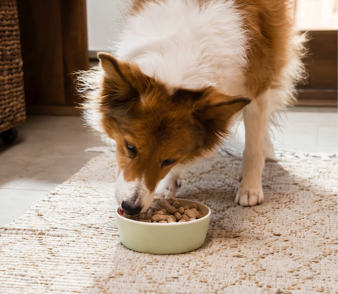 Grass-Fed Beef Freeze Dried Raw Morsels