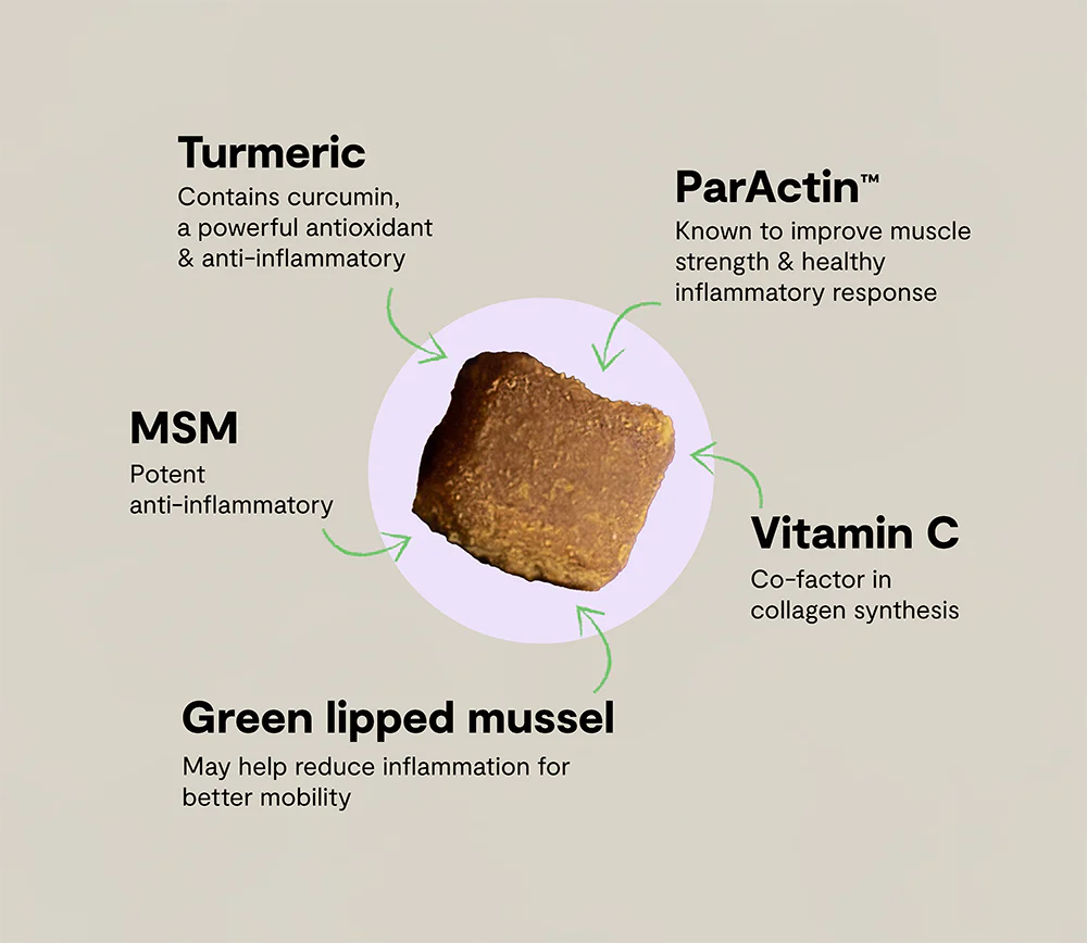 Hip & Joint Supplement Chews
