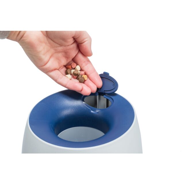 Strategy Game Ball & Treat