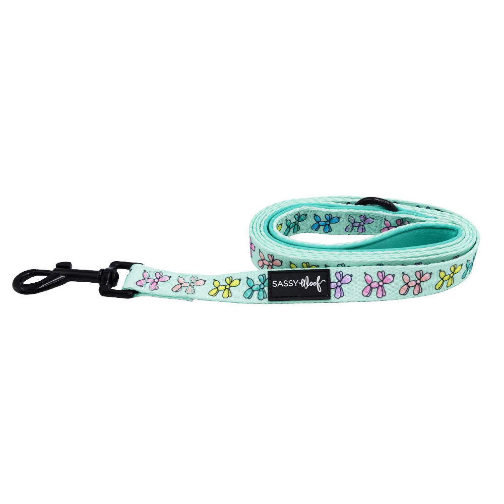 Leash - Pup Pup Hooray