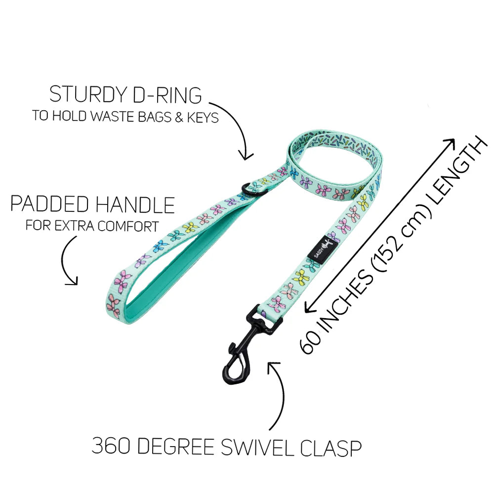 Leash - Pup Pup Hooray