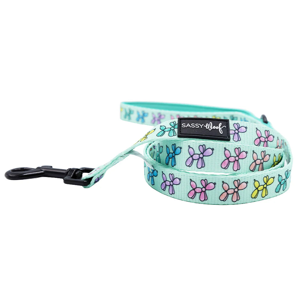 Leash - Pup Pup Hooray