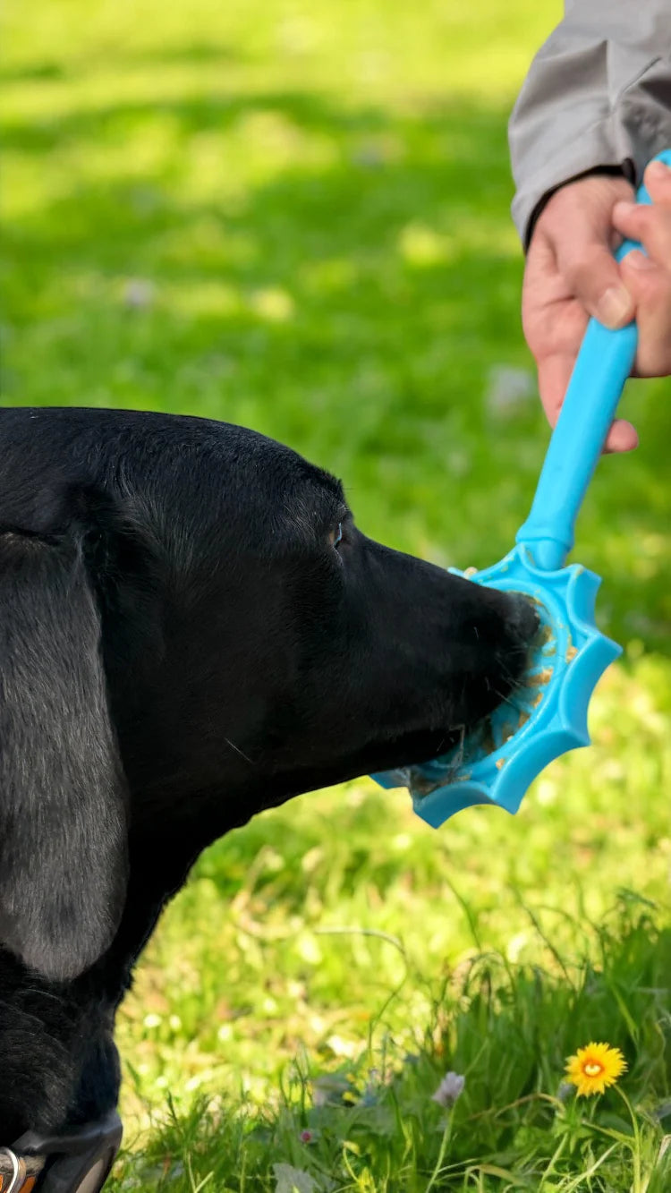 Lick Stick