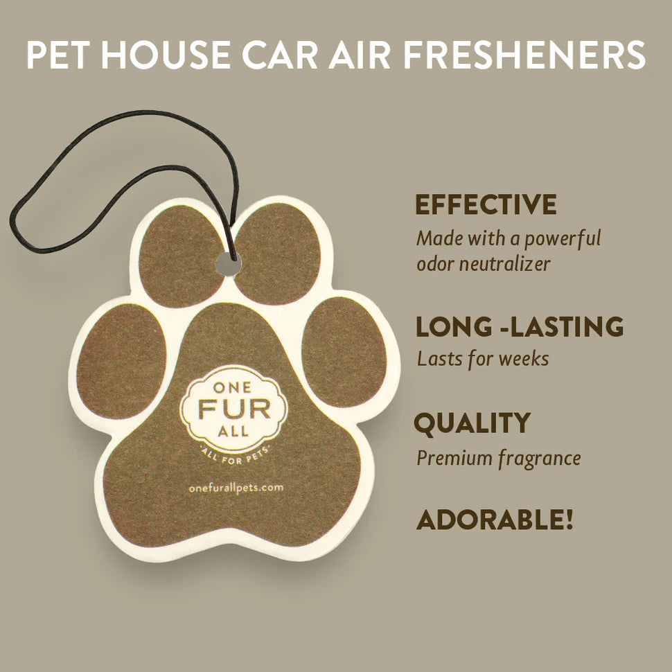 Pumpkin Spice Car Air Freshener