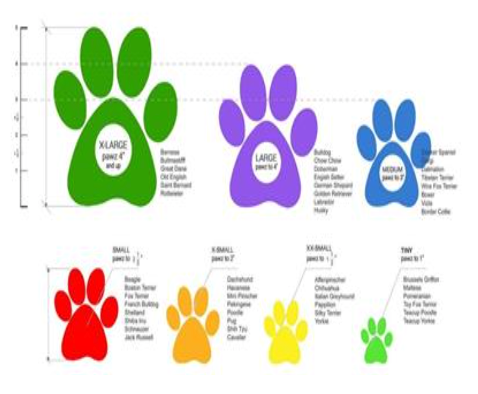 PawZ Black Rubber Dog Boots