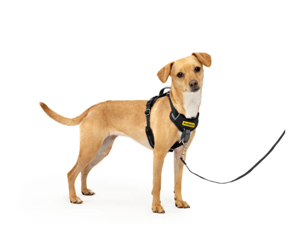 Easy Walk Comfort No-Pull Dog Harness