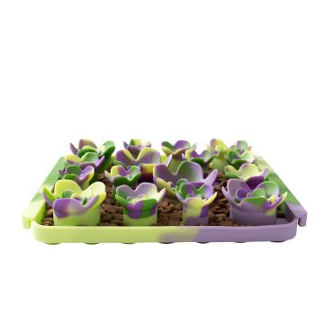 Succulent Foraging Mat