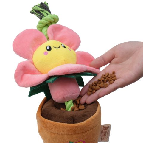 Flower Treat-and-Tug Dog Toy