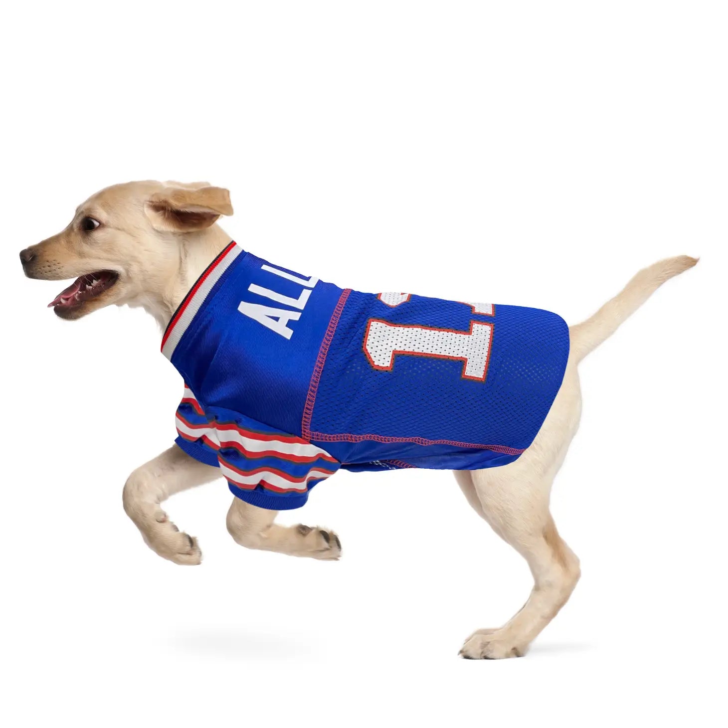 Allen NFL Jersey