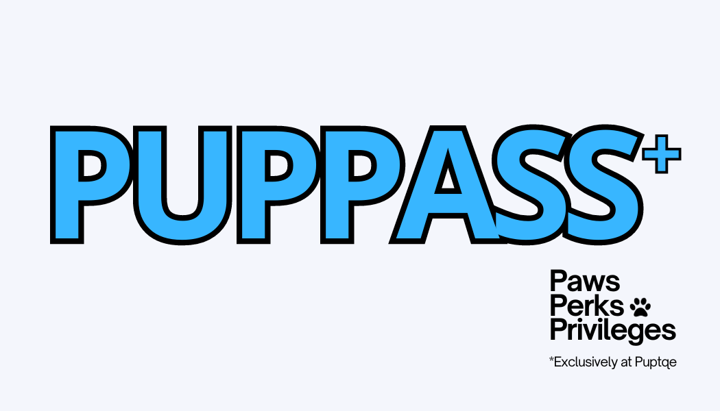 Dog Membership Benefits