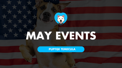 Puptqe's May 2024 Events