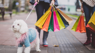 Join Puptqe at Pet Friendly Market Events in 2023