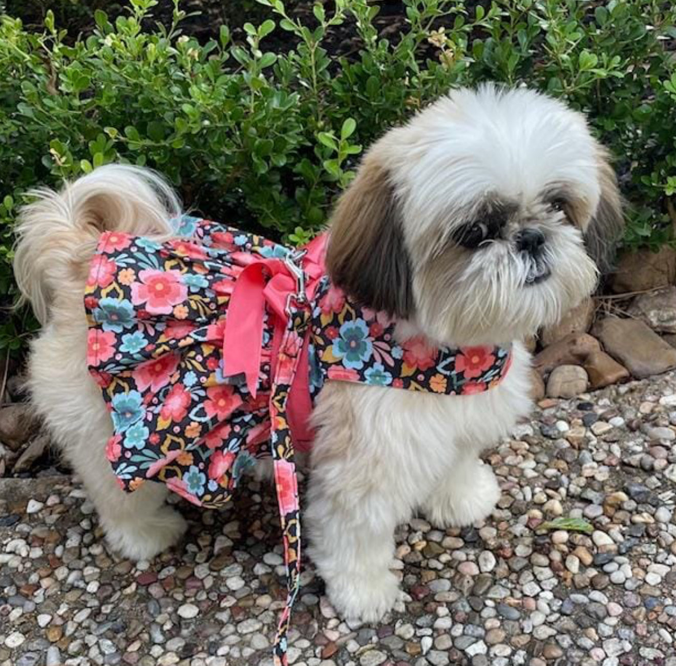 Blooming Blue and Peach Floral Dog Dress