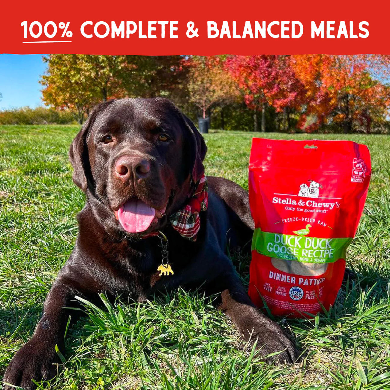 Duck Duck Goose Freeze-Dried Raw Dinner Patties