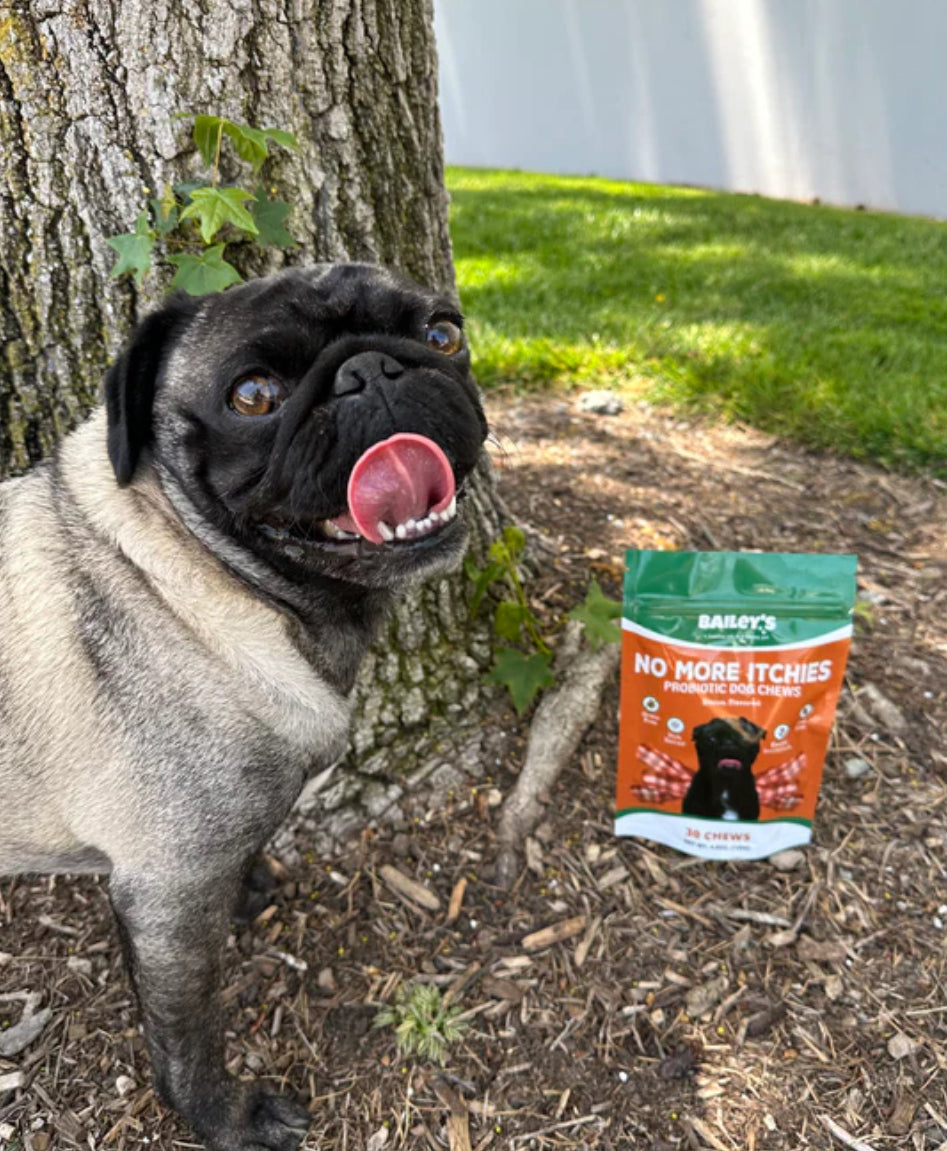 No More Itches Probiotic Dog Chews