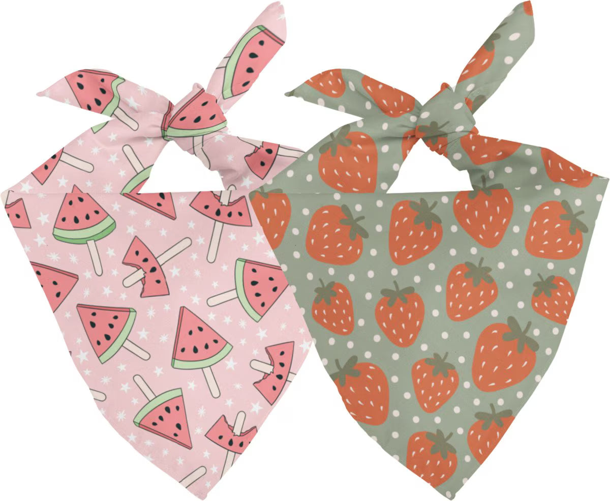Watermelon & Strawberry Reversible Bandana