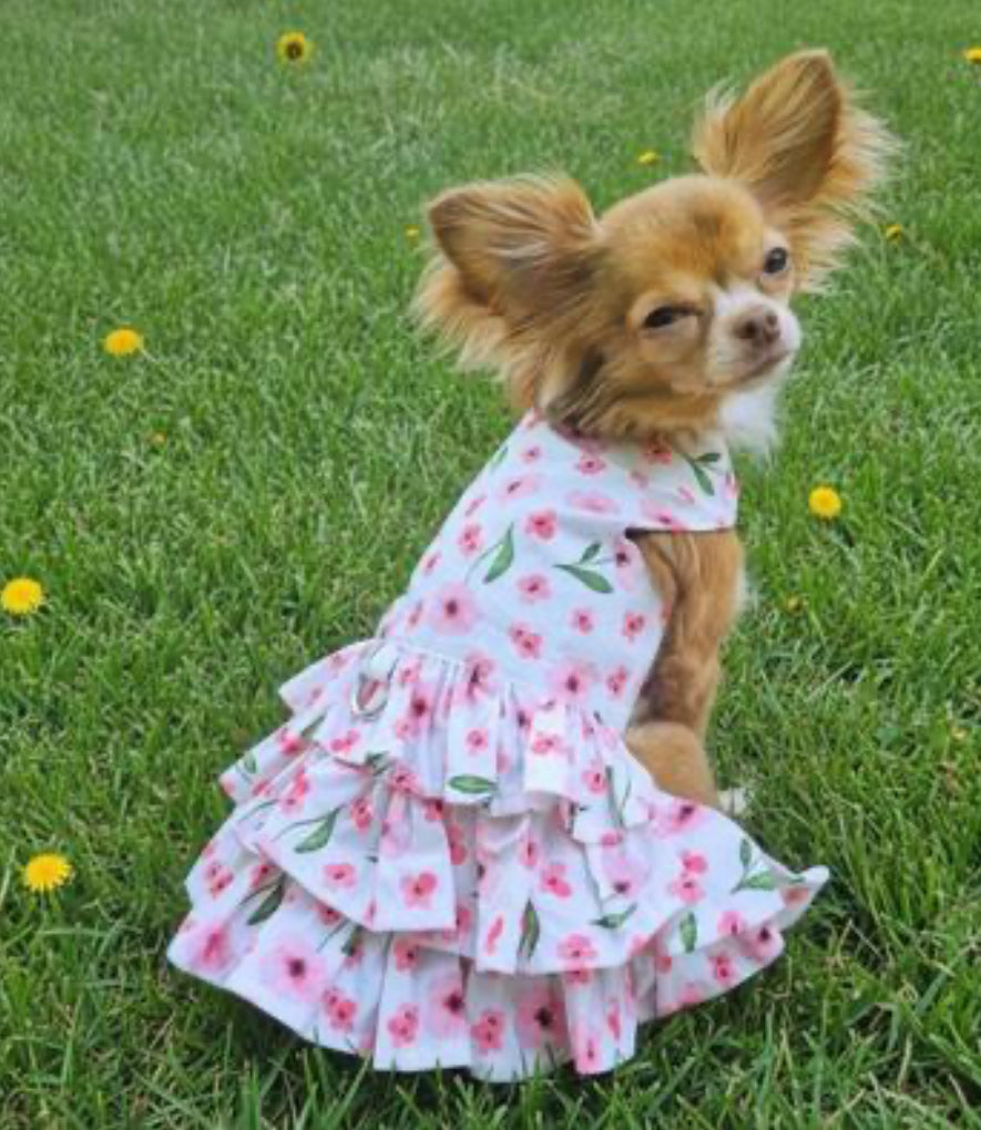 Spring Wildflower Dress with Matching Leash