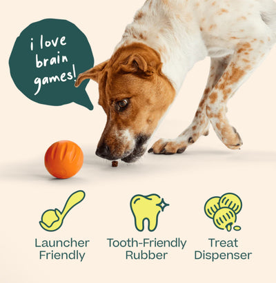 Flyball 3 Pack