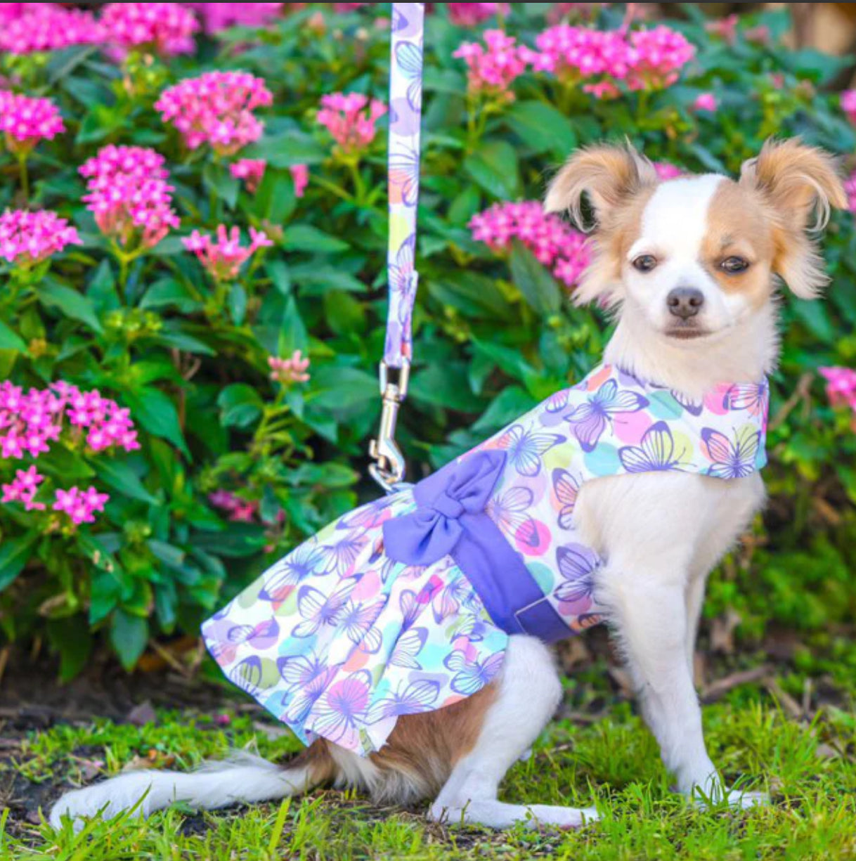 Purple Butterfly Dress with Matching Leash