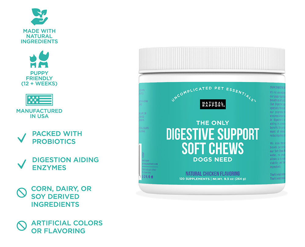 Natural Rapport The Only Digestive Support Soft Chews Dogs Needs Digestive Supplement - 120 count
