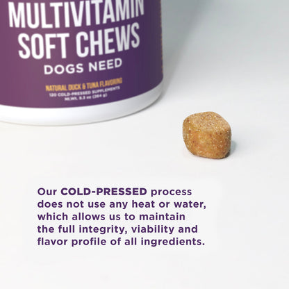 The Only Multivitamin Soft Chews