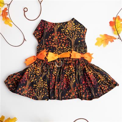 Fall Leaves Dress & Leash