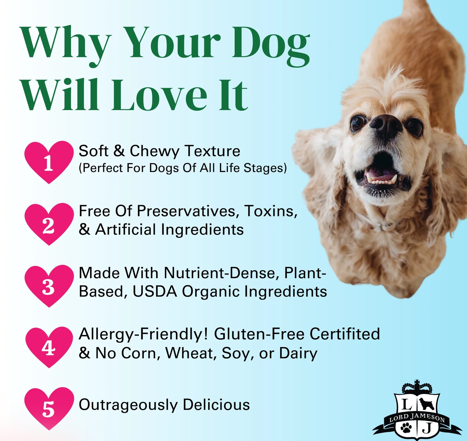 Watermelon Pops Organic Dog Treats