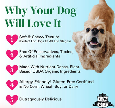 Watermelon Pops Organic Dog Treats